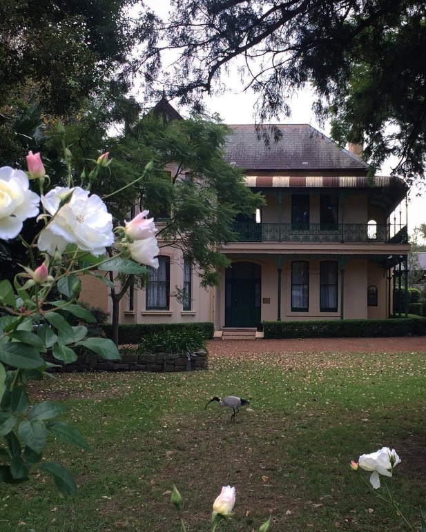 Willow Grove, 34 Phillip St., Parramatta. Photo: @rosie.in.aus via Instagram. Photo used with permission.