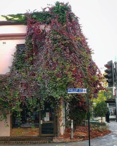 St. George's Terrace, 44 Phillip St., Parramatta, built 1881, as it appears today. Photo courtesy of @alphapiano95 via Instagram. Photo used with permission.